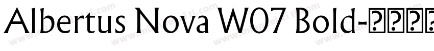 Albertus Nova W07 Bold字体转换